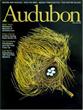 Audubon